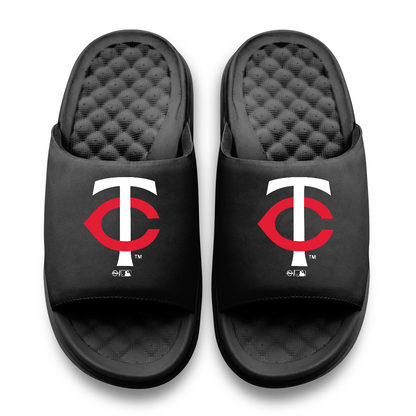 Minnesota Twins Primary Motive