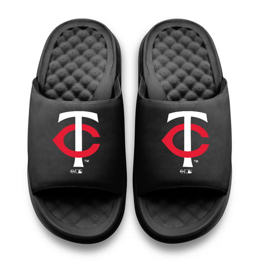 Minnesota Twins Primary Motive