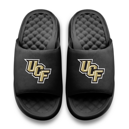 UCF Knights Primary Motive