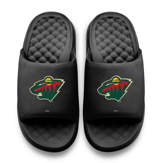 Minnesota Wild Primary Motive