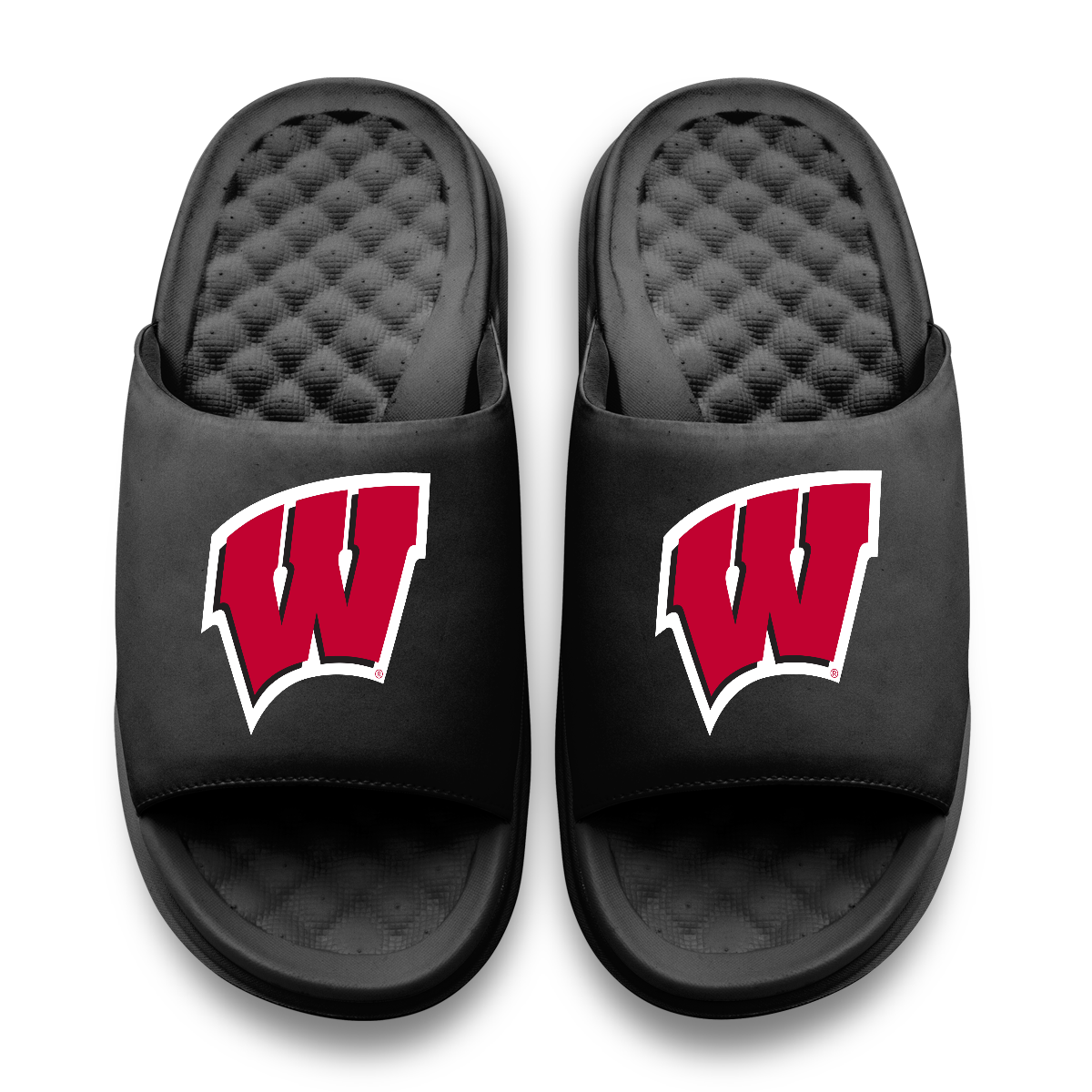 Wisconsin Badgers Primary Motive