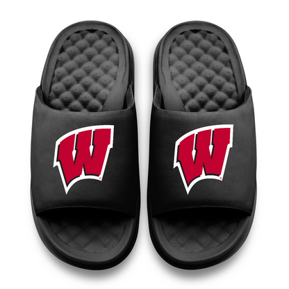 Wisconsin Badgers Primary Motive