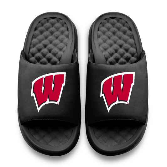 Wisconsin Badgers Primary Motive