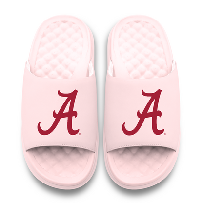 Alabama Crimson Tide Primary Motive