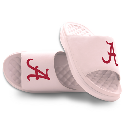 Alabama Crimson Tide Primary Motive