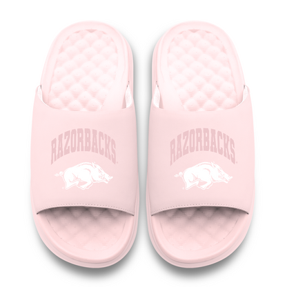 Arkansas Razorbacks Tonal Pop Motive
