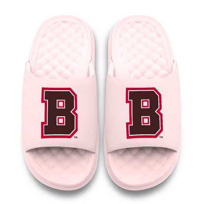 Brown Bears Primary Motive