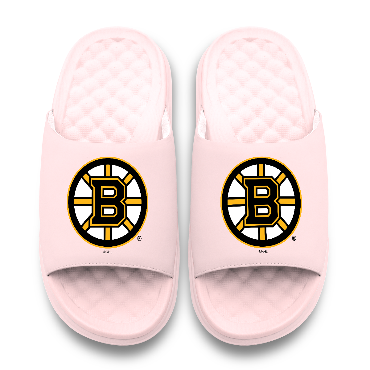 Boston Bruins Primary Motive