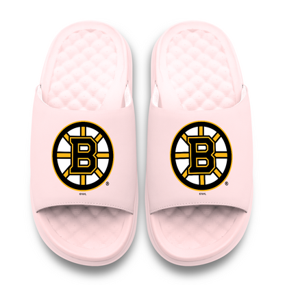 Boston Bruins Primary Motive