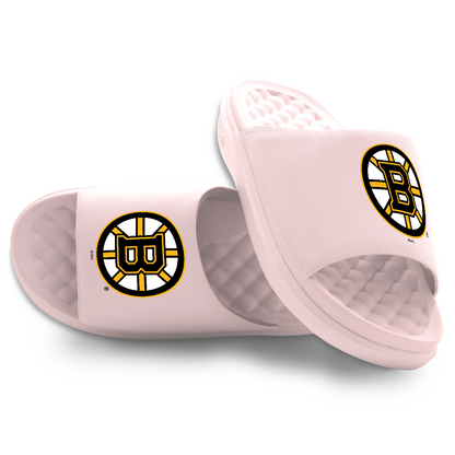 Boston Bruins Primary Motive