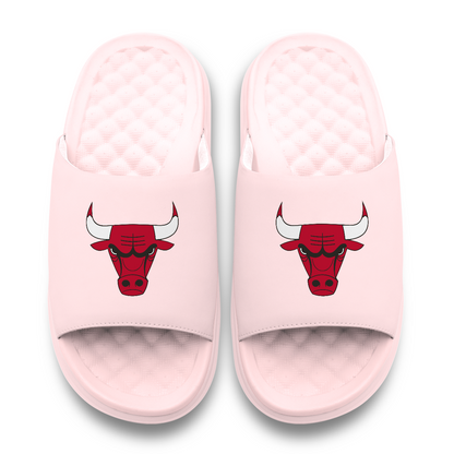 Chicago Bulls Primary Motive