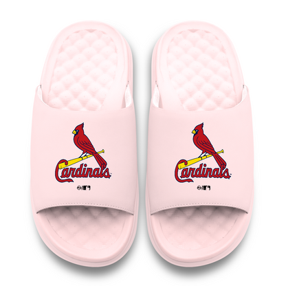 St Louis Cardinals Primary Motive