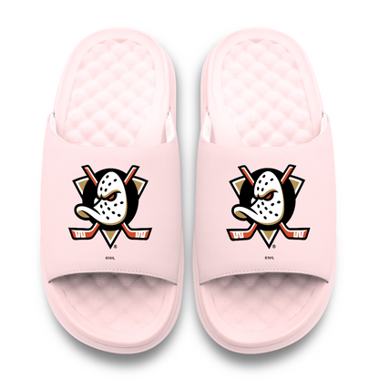 Anaheim Ducks Primary Motive