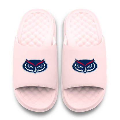 Florida Atlantic Owls Primary Motive