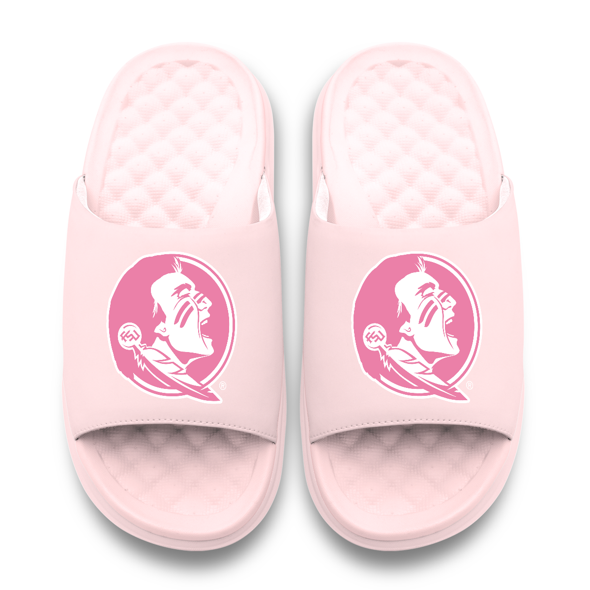 Florida State Seminoles Primary Motive