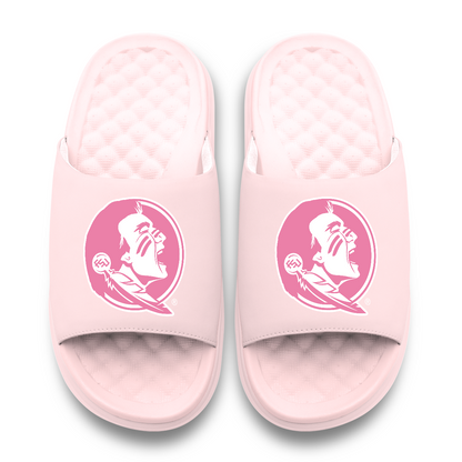 Florida State Seminoles Primary Motive