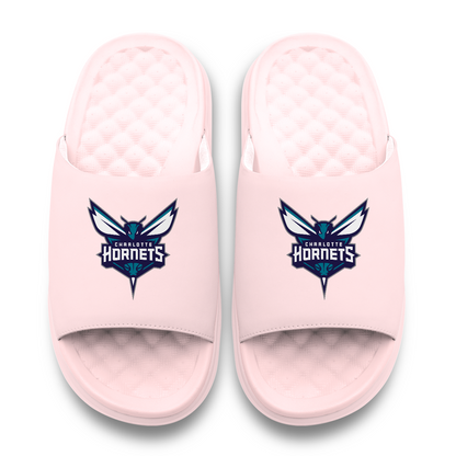 Charlotte Hornets Primary Motive