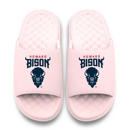 Howard Bison Primary Motive