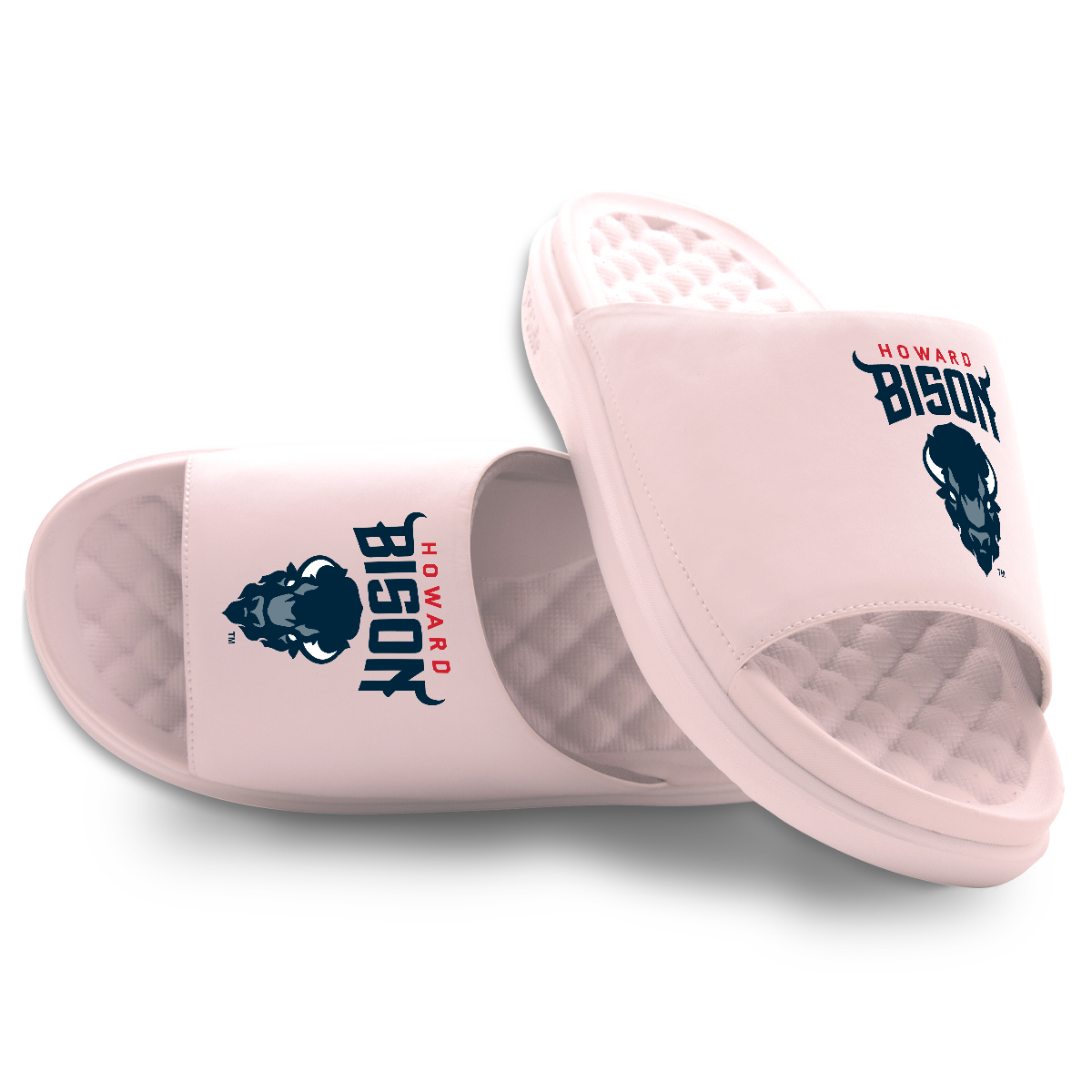 Howard Bison Primary Motive