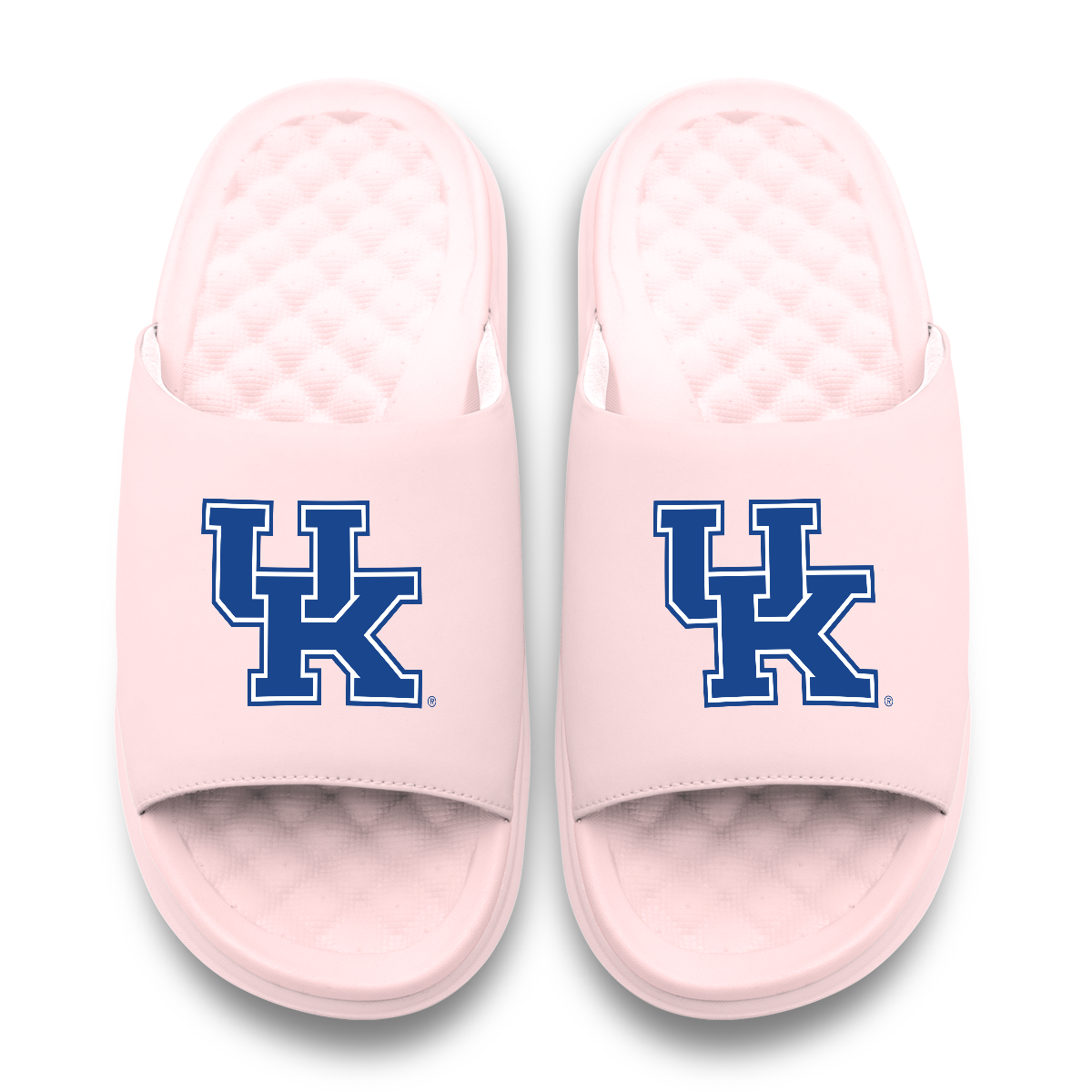 Kentucky Wildcats Primary Motive