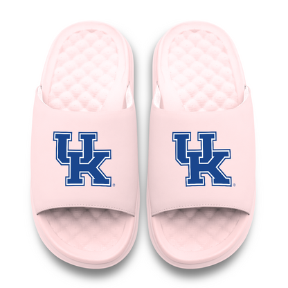 Kentucky Wildcats Primary Motive