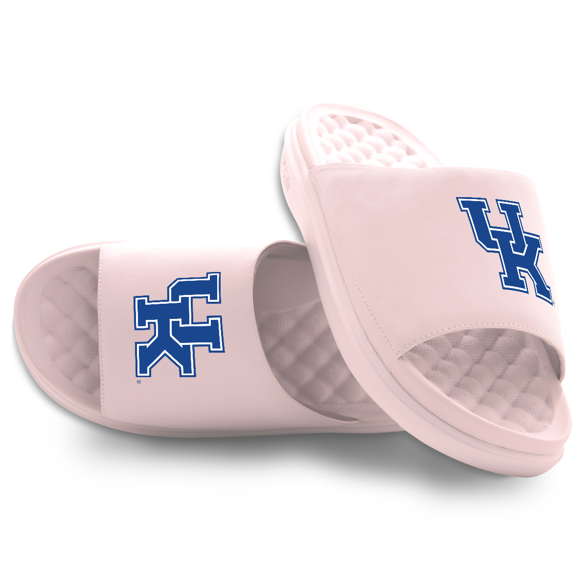 Kentucky Wildcats Primary Motive