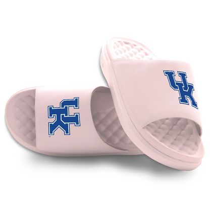 Kentucky Wildcats Primary Motive