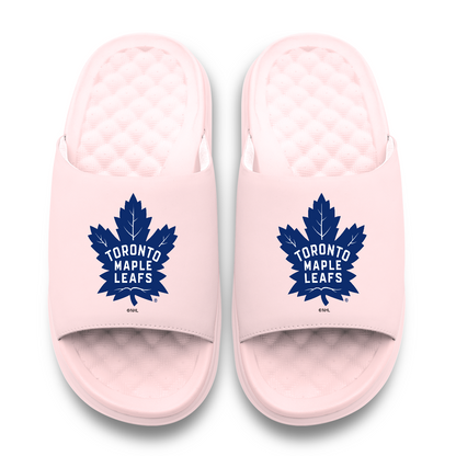 Toronto Maple Leafs Primary Motive