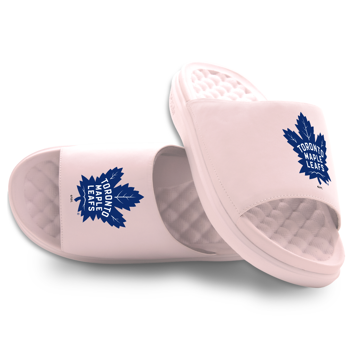 Toronto Maple Leafs Primary Motive