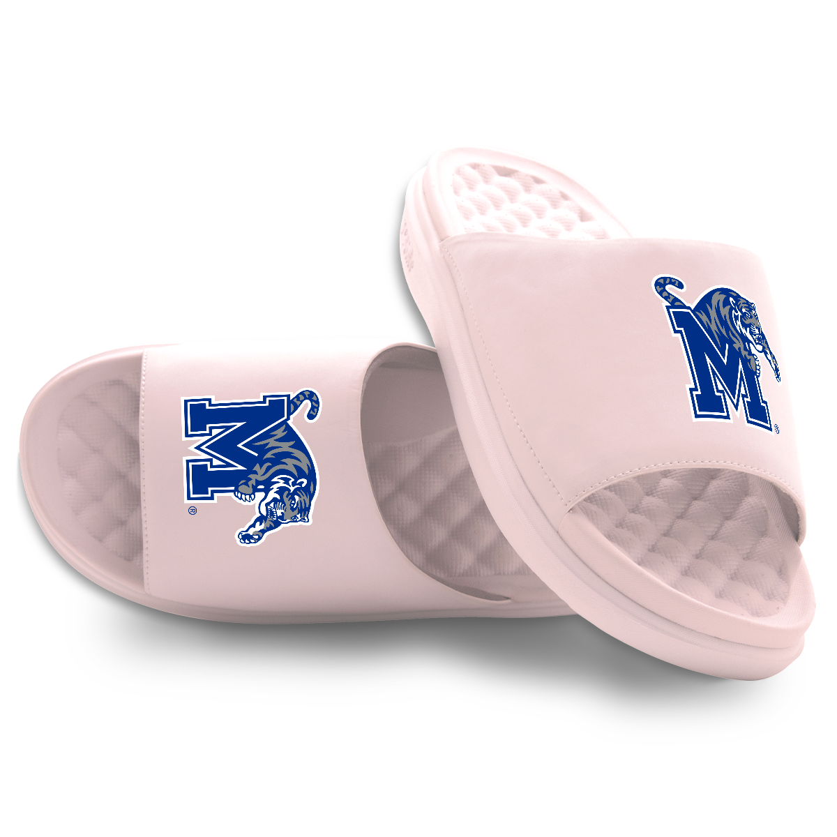 Memphis Tigers Primary Motive