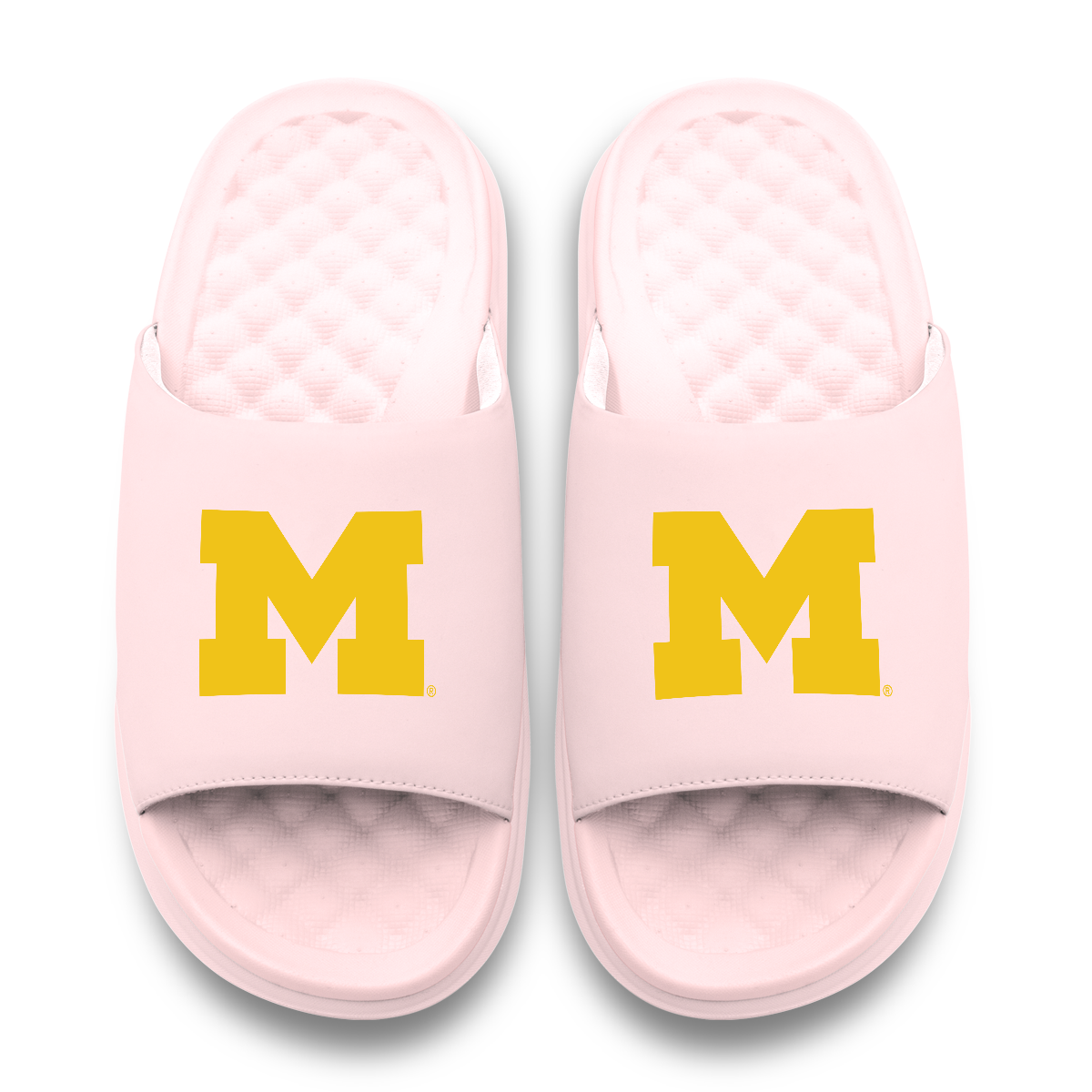 Michigan Wolverines Primary Motive