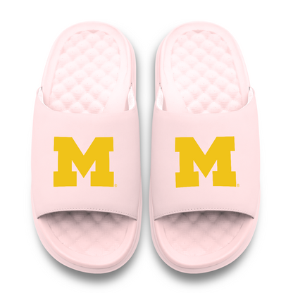 Michigan Wolverines Primary Motive