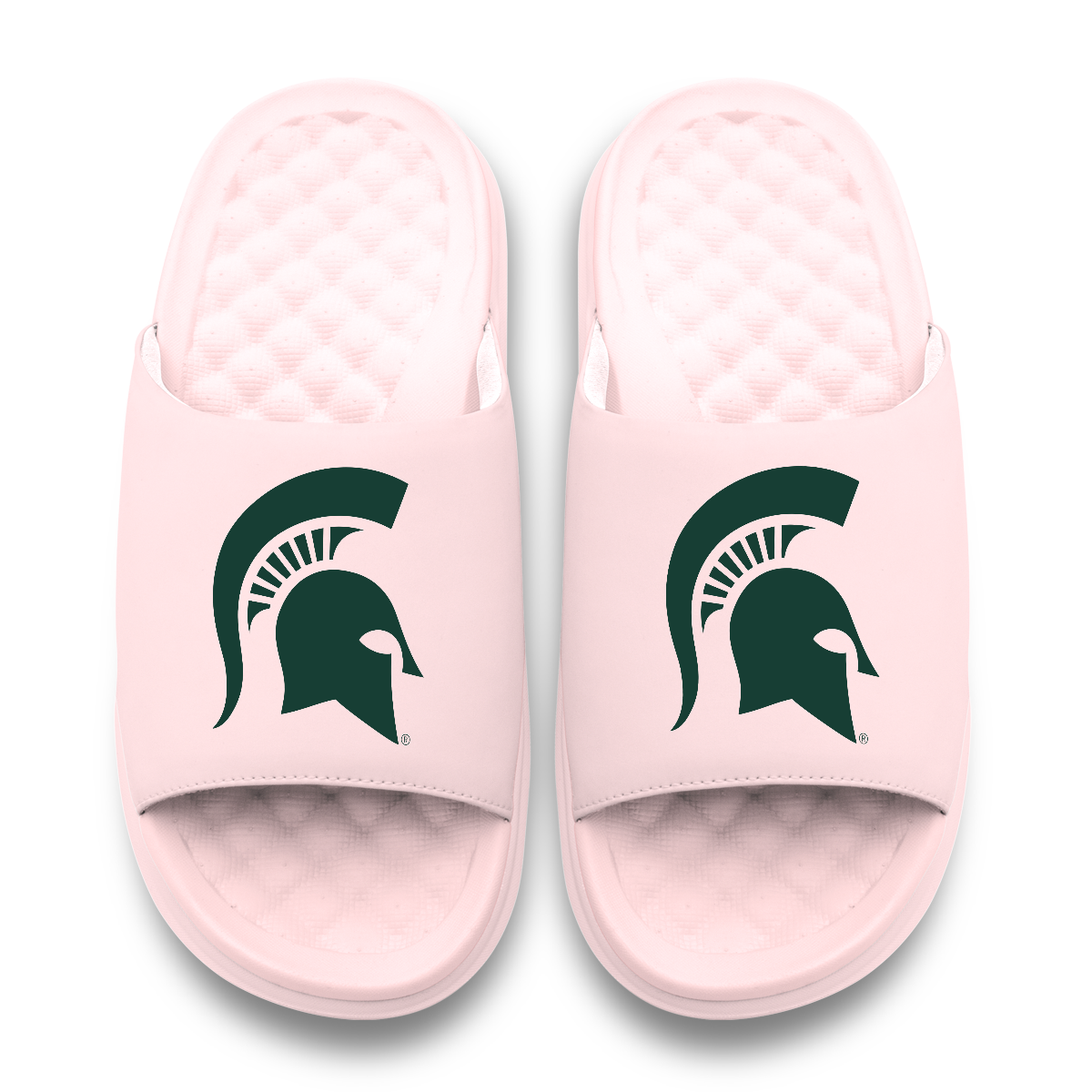 Michigan State Spartans Primary Motive