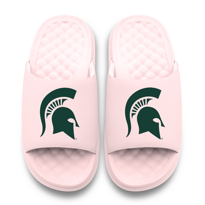 Michigan State Spartans Primary Motive