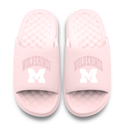 Michigan Wolverines Tonal Pop Motive
