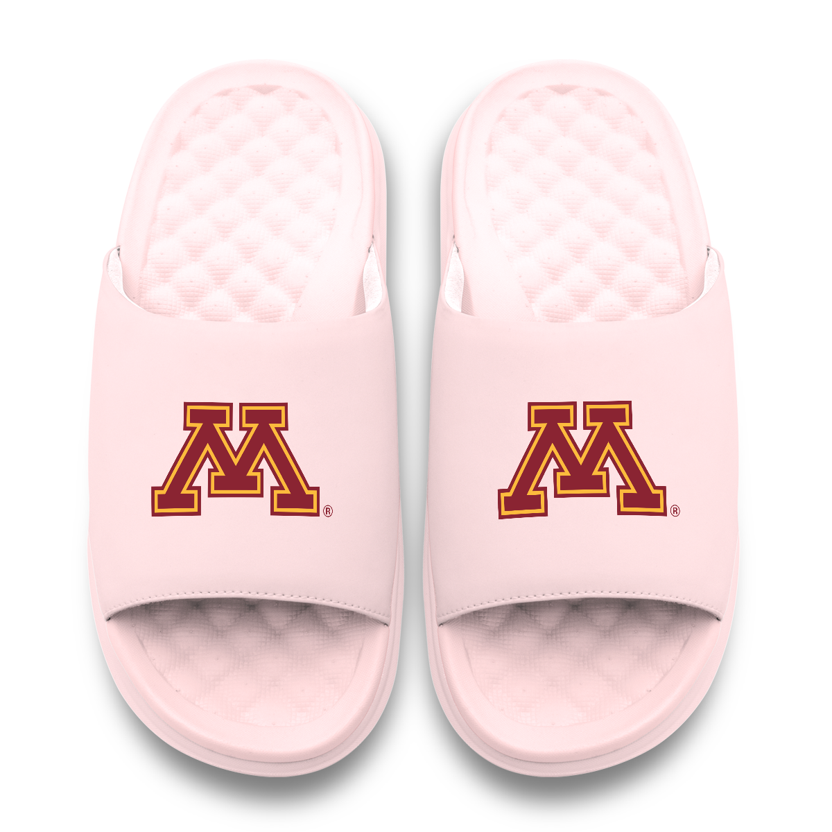 Minnesota Golden Gophers Primary Motive