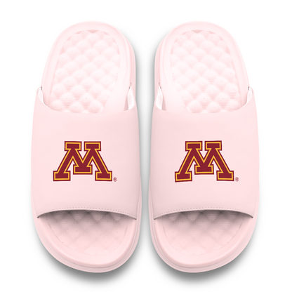 Minnesota Golden Gophers Primary Motive