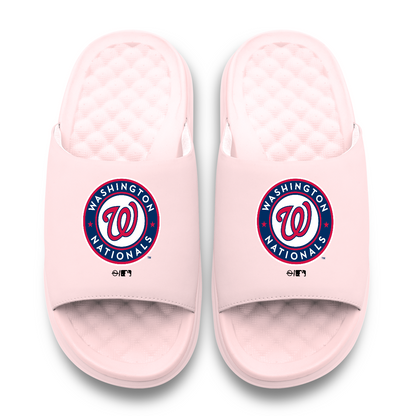 Washington Nationals Primary Motive