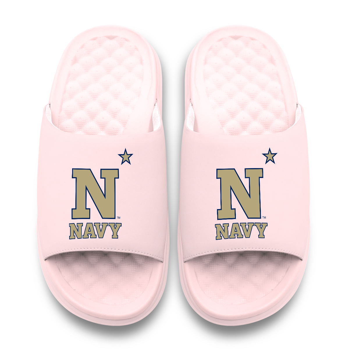 Navy Midshipmen Primary Motive