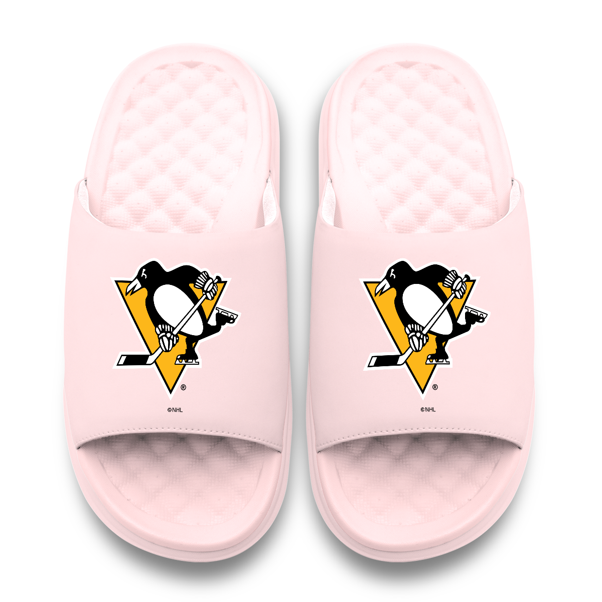 Pittsburgh Penguins Primary Motive