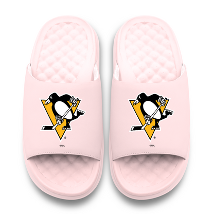 Pittsburgh Penguins Primary Motive