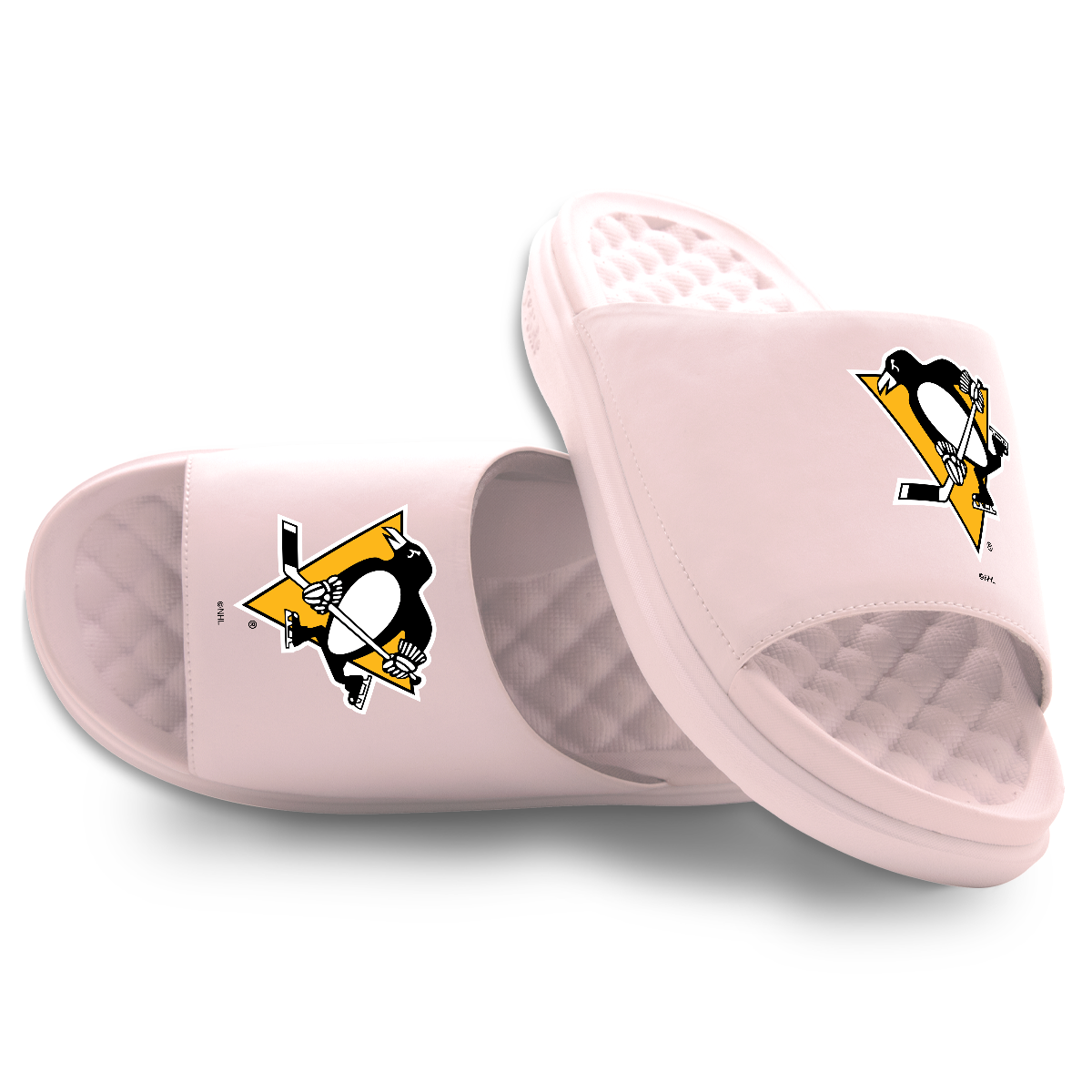 Pittsburgh Penguins Primary Motive