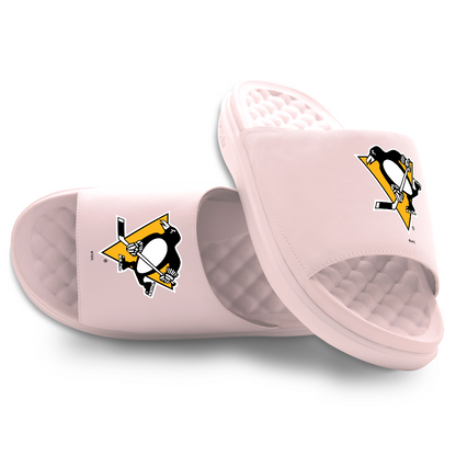 Pittsburgh Penguins Primary Motive
