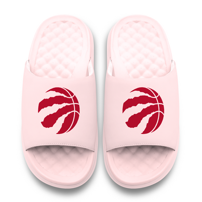 Toronto Raptors Primary Motive