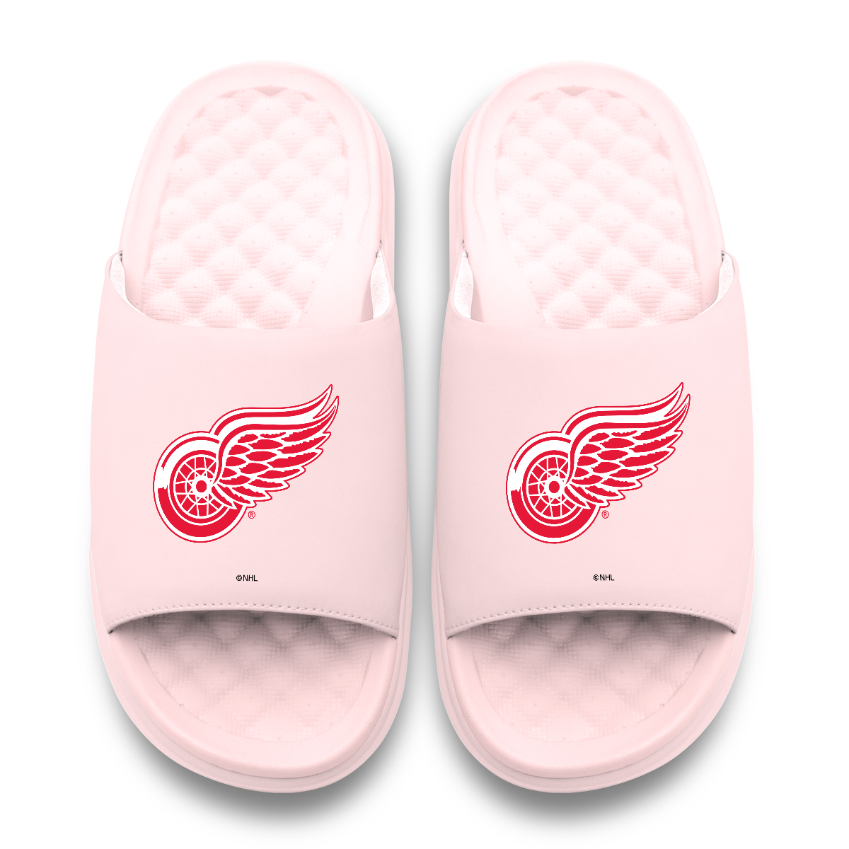 Detroit Red Wings Primary Motive