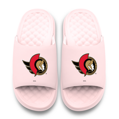 Ottawa Senators Primary Motive