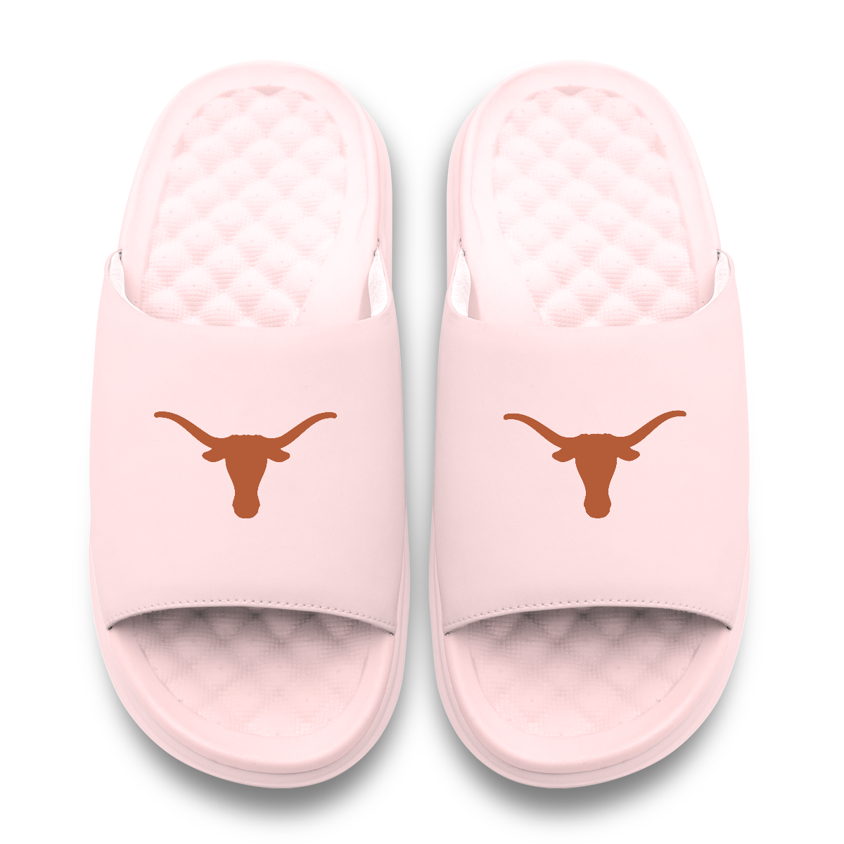 Texas Longhorns Primary Motive