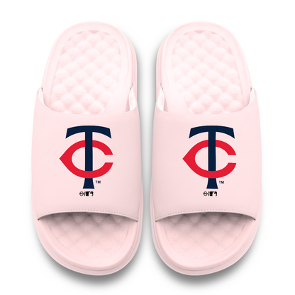 Minnesota Twins Primary Motive