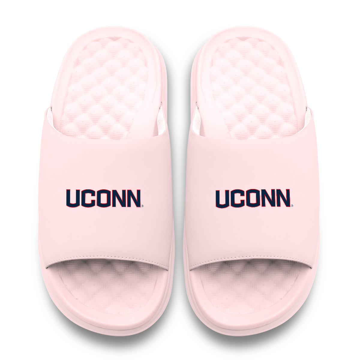 UConn Huskies Primary Motive