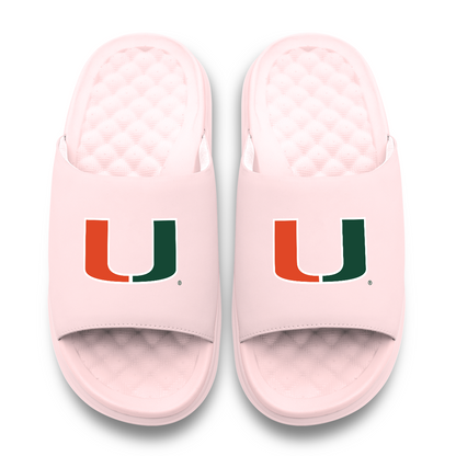 Miami Hurricanes Primary Motive